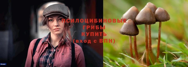 кокс Михайлов