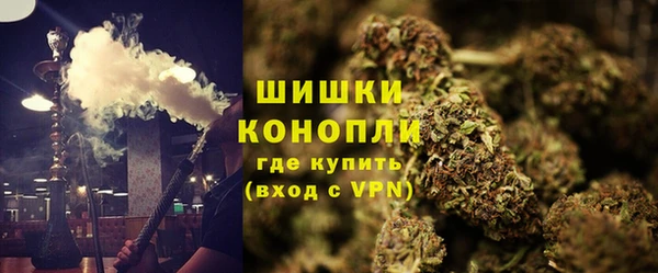 кокс Михайлов
