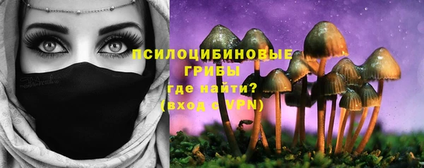 кокс Михайлов