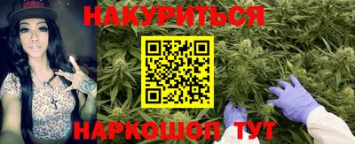 крисы Жуковский
