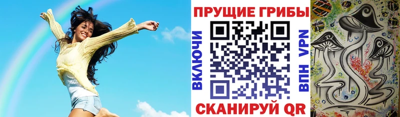 omg ТОР  Отрадный  Псилоцибиновые грибы ЛСД 