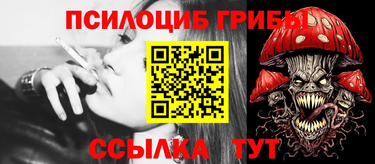 Псилоцибиновые грибы Psilocybe  Вход с VPN  Отрадный 