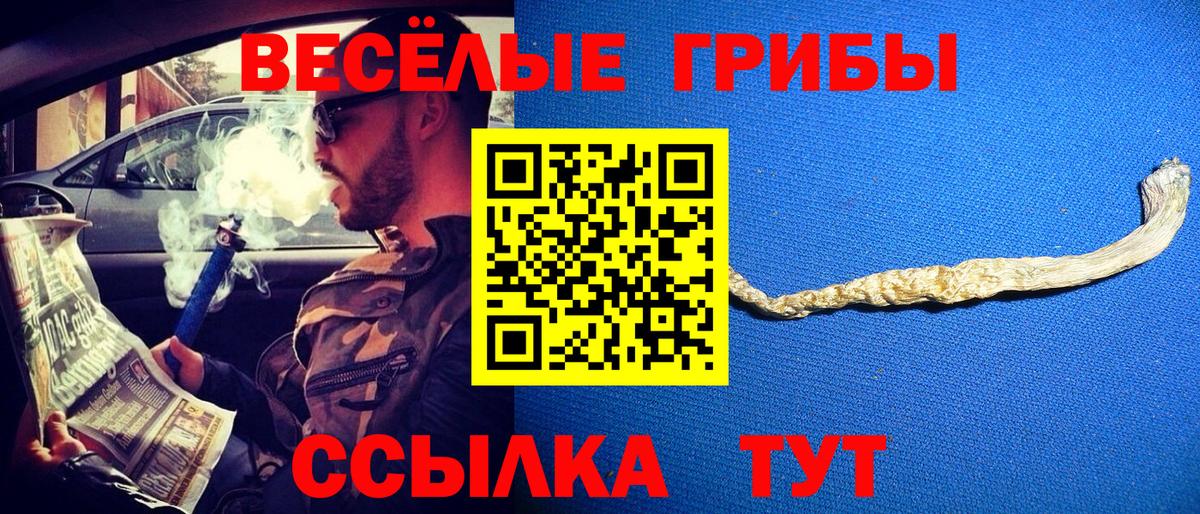 Галлюциногенные грибы Psilocybine cubensis Отрадный